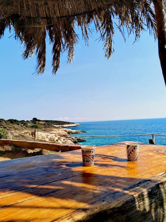 Apartment Andreas - Amphitheater - Pula Exterior foto